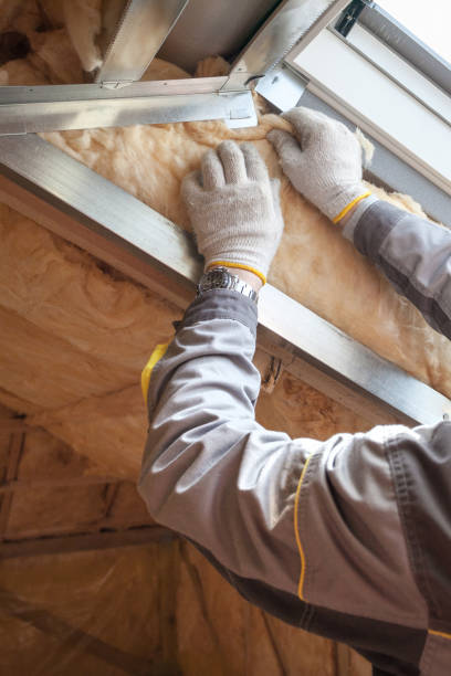 Best Insulation Maintenance and Repair in South Dos Palos, CA