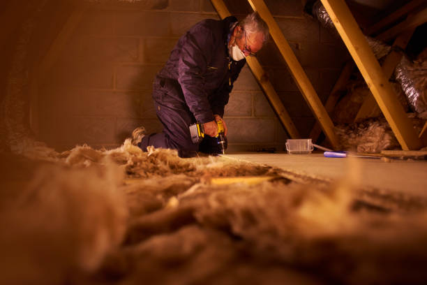Best Types of Insulation in South Dos Palos, CA